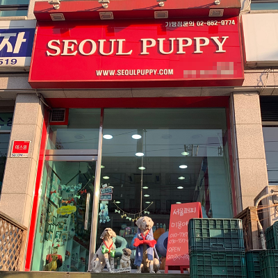상품이미지